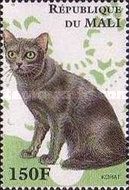 Korat