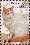 Turkish Van