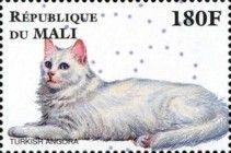Turkish Angora
