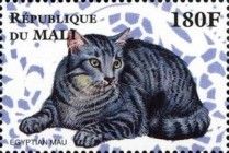 Egyptian Mau