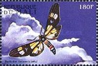 The Basker (Euchromia lethe)