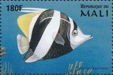 Pennant Coralfish (Heniochus acuminatus)