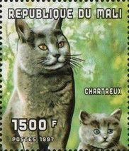 Charteux