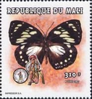 Great Blue Mime (Papilio paradoxa)