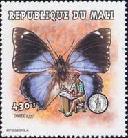 Large Blue Emperor (Charaxes bohemani)