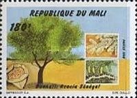 Acacia senegal