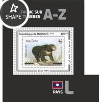 Sun Bear (Ursus malayanus)