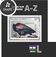 Southern Bald Ibis (Geronticus calvus)