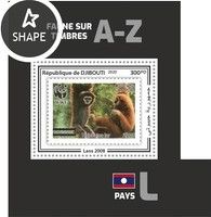 Lar Gibbon (Hylobates lar)