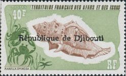 Spiny Frog Shell (Ranella spinosa)