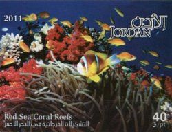 Red Sea Coral Reefs