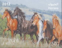 Horses (Equus ferus caballus)