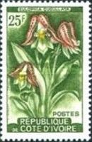 Eulophia cucullata