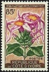 Strophantus sarmentosus