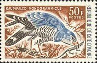 Lizard Buzzard (Kaupifalco monogrammicus)