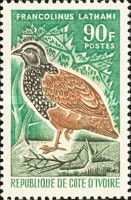 Forest Francolin (Francolinus lathami)