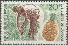 Pineapple