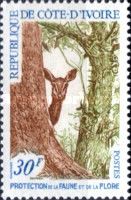 Protection of Fauna and Flora