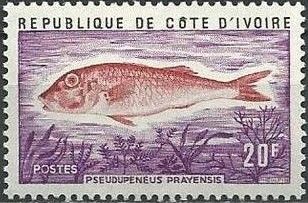 West African Goatfish (Pseudupeneus prayensis)