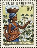 Cotton Production