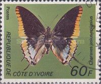 Two-tailed Pasha (Charaxes jasius epijasius)