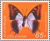 Blue Patch Charaxes (Charaxes lactetinctus)