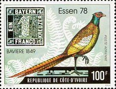 Common Pheasant (Phasianus colchicus) + Bavaria No. 1