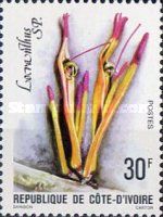 Locranthus