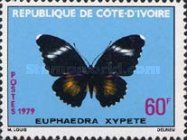 Common Pink Forester (Euphaedra xypete)