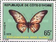 Boisduval's False Acraea (Pseudacraea bois duvali)
