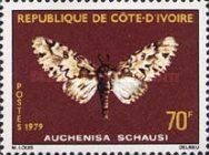 Moth (Auchenisa schausi)