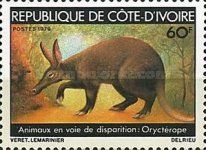 Aardvark (Orycteropus afer)