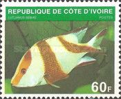 Emperor Red Snapper (Lujtanus sebae)