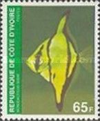 African Moony (Monodactylus sebae)