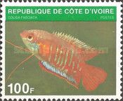 Banded Gourami (Colisa fasciata)