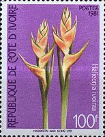 Heliconia ivoirea