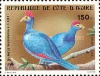 Ross's Turaco (Musophaga violacea); see description
