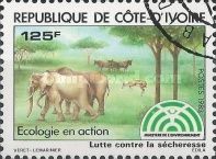 African Elephant (Loxodonta africana), Gazelle, Wildebeest