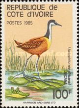 African Jacana (Actophilornis africana)