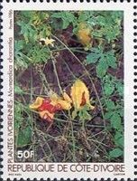 Momordica charantia
