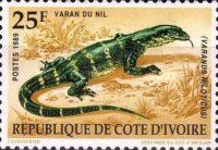 Nile Monitor (Varanus niloticus)