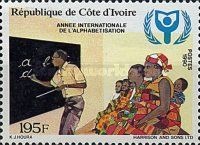 International Literacy Year