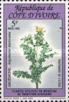 Argemone mexicana