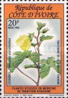 Hibiscus esculentus