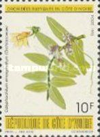 Calyptrochilum emarginatum