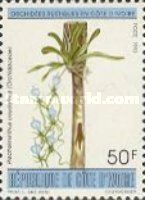 Plectrelminthus caudathus