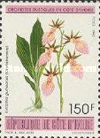Eulophia guineensis