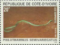 Spotted Bush Snake (Philothamnus semivariegatus)