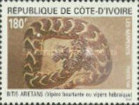 Puff Adder (Bitis arietans)