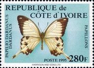 African Swallowtail (Papilio dardanus dardanus)